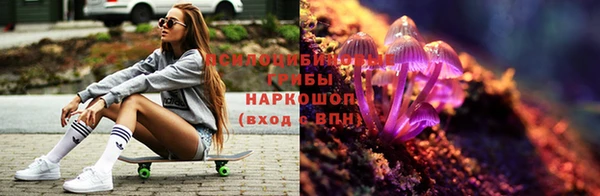 дживик Бугульма