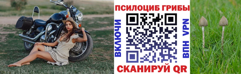 Псилоцибиновые грибы мицелий  Купить  Чапаевск 